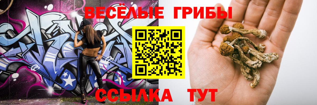 наркотики  Псилоцибиновые грибы ЛСД  Вход с VPN  Лениногорск 